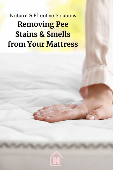 A hand pressed on a mattress. Get Rid Of Pee Smell On Mattress, How To Get Pee Out Of A Mattress, Pee Out Of Mattress, Pee Stains, Pee Smell, Mattress Stains, Urine Stains, Laundry Stains, Cleaning Tricks