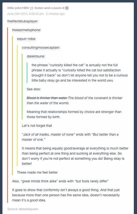 the full saying Curiosity Killed The Cat, Never Stop Dreaming, The More You Know, Timeline Photos, Tumblr Funny, Things To Know, Writing Tips, Mind Blown, Writing Prompts