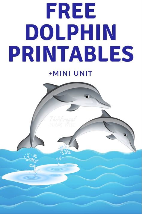 When working on our dolphin unit study I put together this dolphin printable for my kids. They had a blast and I wanted to share it with all of you now! This free printable works great with the list resource list to learn everything about dolphins!   #dol All About Dolphins, Sea Life Crafts, Dolphin Craft, Dolphin Birthday Parties, Dolphin Facts, Ocean Theme Preschool, Notebooking Pages, Dolphin Tale, Free Worksheets For Kids