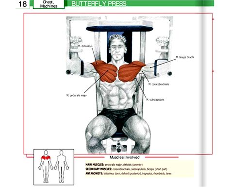 Pec-Deck-Exercise-Machine-Butterfly-Press-Workout Gym Equipment Names, Gym For Beginners, Cable Workout, Hiit Cardio Workouts, Best Home Gym Equipment, Workout Plan For Beginners, Gym Machines, Best Home Gym, Things To Keep In Mind