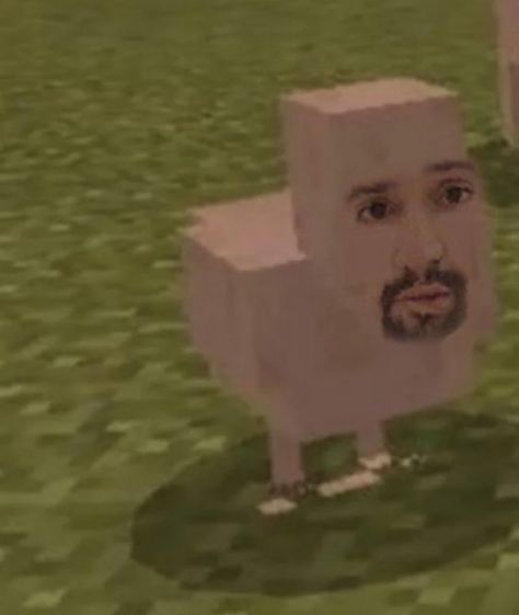 Roblox Chicken Nugget, Cursed Chicken, Wierd Picture, Chicken Meme, Heinz Beans, Chicken Boy, Chicken Nugget Meme, Boy Meme, Minecraft Funny Villager Memes