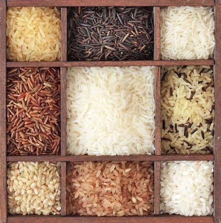 The answer to "Is Rice Gluten Free?" and much more - http://glutenfreerecipebox.com/is-rice-gluten-free/ #glutenfree Gluten Free Rice Recipes, Different Types Of Rice, Types Of Rice, Rice Bar, Pasta Brands, Gluten Free Info, Rice Packaging, Tamari Sauce, Rice Mill