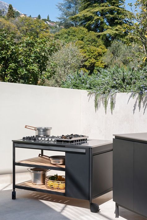 Norma outdoor kitchen by Rodolfo Dordoni for Roda Merlin 2, Rodolfo Dordoni, Modular Outdoor Kitchens, Small Dining Area, Larch Wood, Modern Outdoor Furniture, Outdoor Kitchens, Professional Kitchen, Kitchen Equipment