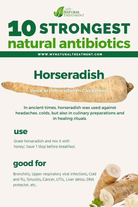 See how #horseradish helps fight viruses and bacteria die to its natural antibiotic uses. Upper Respiratory Infection Remedies, Respiratory Infection Remedies, Survival Preparedness, Natural Antibiotic, Upper Respiratory Infection, Healing Remedies, Herbal Plants, Respiratory Infection, Natural Healing Remedies