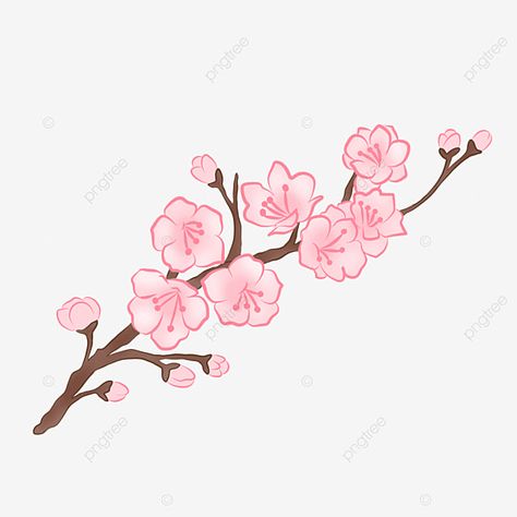 Japan Cherry Blossom Drawing, Sakura Illustration Flower, Sakura Flower Drawing, Sakura Flower Illustration, Pink Flowers Drawing, Pink Drawings, Cherry Blossom Illustration, Cherry Blossom Clipart, Cute Cherry Blossom