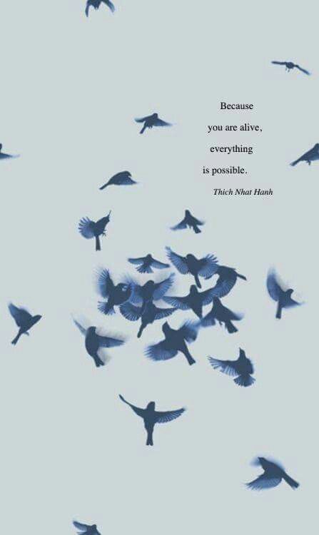 Because you are alive, everything is possible. Thich Nhat Hanh, Everything Is Possible, A Quote, The Sky, Birds, Love You, Quotes, Haus