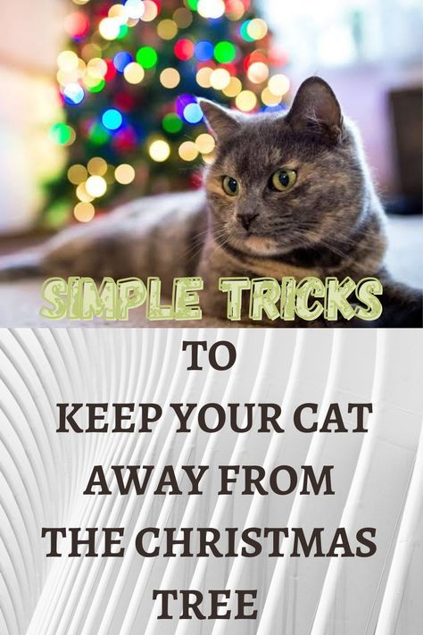 How To Cat Proof Your Christmas Tree, Keeping Cats Out Of Christmas Tree, Cat Proofing Christmas Tree, Keep Cats Out Of Christmas Tree, Cat Safe Christmas Decorations, How To Keep Cats Out Of Christmas Tree, Cat Friendly Christmas Decorations, Cat Proof Christmas Tree Ideas, Cats And Christmas Trees