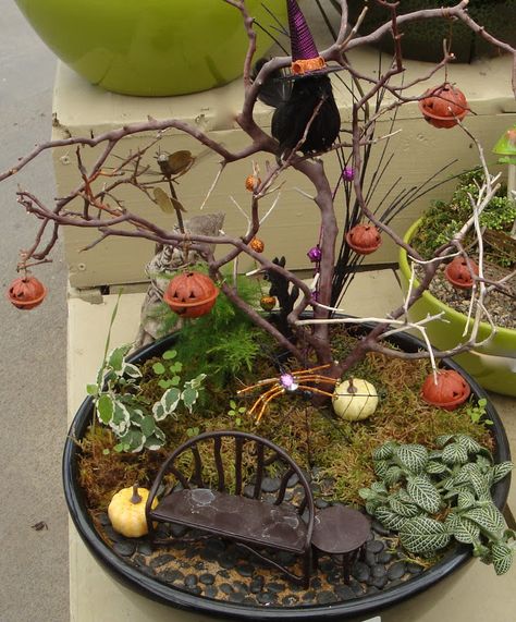 halloween fairy gardens Fall Fairy Garden, Tiny Pumpkins, Halloween Fairy Garden, Garden Simple, Fall Fairy, Fairy Garden Ideas, Miniature Halloween, Fairy Homes, Mini Gardens