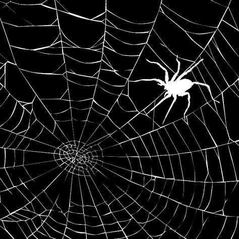 Spiderweb Widget, Halloween Black And White Aesthetic, Spiderweb Icon, Spider Black And White, Spider Y2k, Wide Widget, Spider Icon, Black Background Painting, Star Overlays