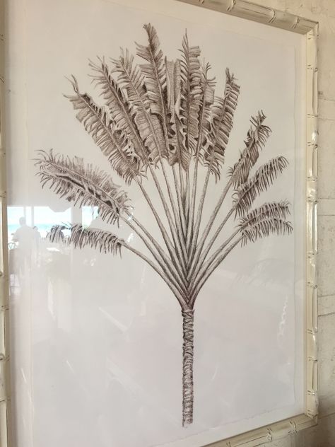 Palm Drawing, Palm Painting, Travelers Palm, Palm Tattoo, Travellers Palm, Raffia Palm, Drawing Help, Palm Tattoos, Colonial Decor