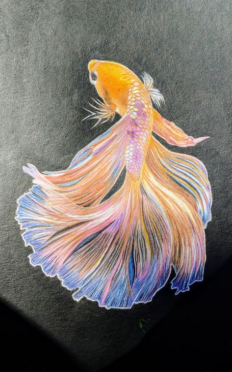 Beta Fish Painting, Beta Fish Drawing, Fish Sketch, Beta Fish, Mixed Media Art Canvas, Fish Drawings, Truck Art, Acrylic Painting Tutorials, Outline Drawings