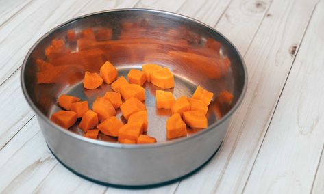 Can Dogs Eat Carrots? Yes! Here Are Ways to Serve It | BeChewy Carrot Dogs Recipe, Dehydrated Carrots For Dogs, Frozen Carrot Dog Treats, Bone Broth Carrots For Dogs, Can Dogs Eat Carrots, Cooking Techniques Basic, Carrot Dogs, Baked Carrots, Raw Carrots