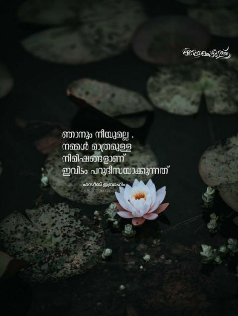 Malayalam love Love Quotes For Him In Malayalam, Malayalam Love Quotes For Him, Love Malayalam Quotes, Malayalam Quotes Love, Love Quates, Love Quotes In Malayalam, Couple Travel Quotes, Romantic Poetry Quotes, One Line Quotes