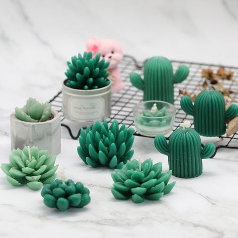 Cactus Candles, Succulents Candles, Soap Molds Diy, Floral Soap, Candle Molds Diy, Candle Types, Candle Making Molds, Silicone Candle Molds, Candle Making Supplies