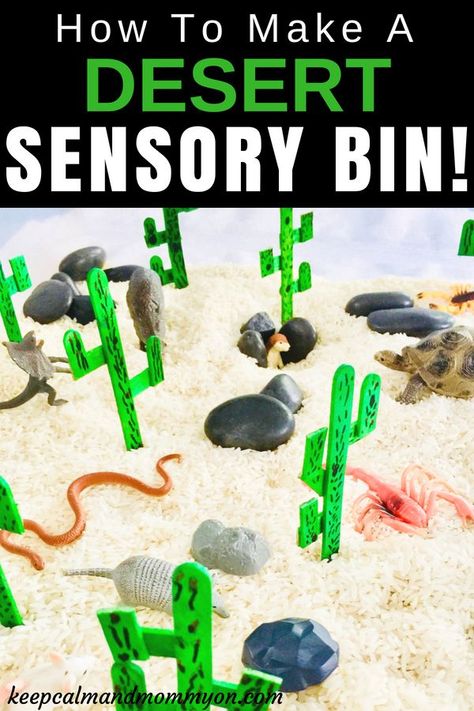 How To Make A Desert Sensory Bin! Sensory Bin Ideas for kids, Sensory activities for toddlers, sensory activities for preschoolers. Fine motor skills. Lizard Activities For Preschool, Desert Animals Activities, Africa Activities, Arizona Activities, Sensory Activities For Toddlers, Desert Crafts, Habitat Activities, Kids Sensory Activities, Sensory Bin Ideas