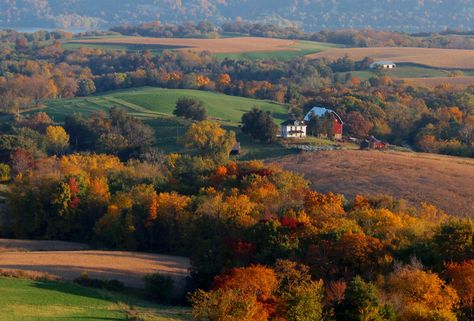 This is a great photo showing the Rolling Hills in autumn that is located at Balltown, Iowa. Autumn Halloween Aesthetic, Autumn Court, Autumn Leaves Falling, Iowa Farms, Iowa Travel, Chair Art, Leaves Falling, Love Hate Relationship, Farm And Ranch