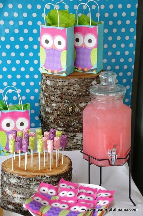 Owl Birthday Decorations, Birthday Party Activities For Kids, Owl Party Decorations, Owl Birthday Party Ideas, Owl Themed Birthday Party, Owl Party Ideas, Owl Themed Parties, Party Activities For Kids, Food Decoration Ideas