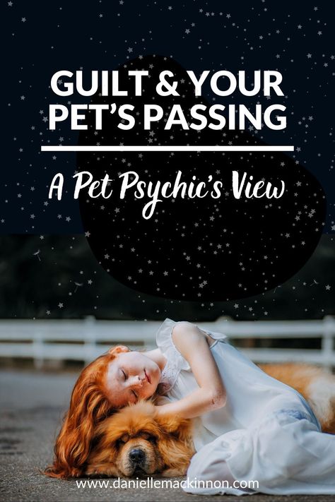 Pet Psychic, 9 Lives, Pet Remembrance, Dearly Beloved, Find Your Way, Losing A Pet, Right Time, Heart And Mind, Pet Loss