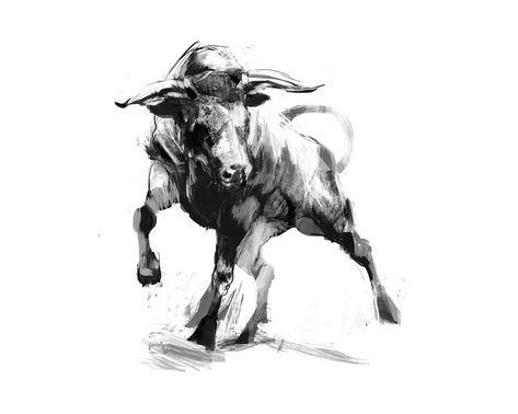 Bull Art Drawing, Taurus Bull Tattoos, Bull Artwork, Bull Images, Taurus Bull, Bull Art, Bull Tattoos, Taurus Tattoos, Bull Cow