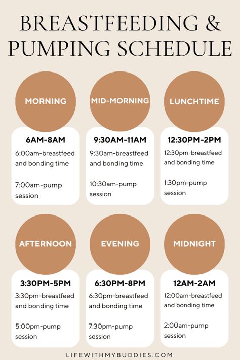 A Guide to Your Breastfeeding and Pumping Schedule Breastfeeding Schedule Newborn, Breastfeeding And Pumping Schedule, Pumping And Breastfeeding Schedule, Newborn Breastfeeding Tips, Pumping Schedule, Baby Feeding Chart, Baby Routine, Newborn Feeding, Baby Schedule