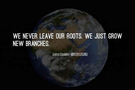 Back To Your Roots Quotes, Your Roots Quotes, Deep Roots Quotes, Dont Forget Your Roots Quotes, Quotes About Roots, Deep Roots Are Not Reached, Roots Quotes, Brenda Strong, Tree Quotes