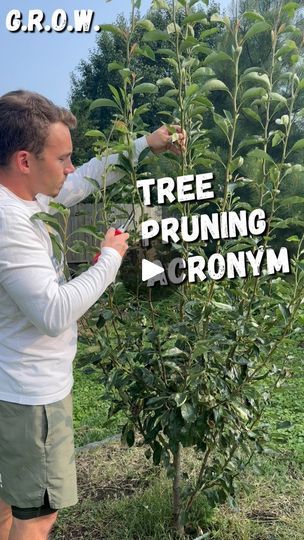 Tree Pruning Tips, Earth Nails, Fruit Tree Pruning, Pruning Apple Trees, Small Fruit Trees, Pruning Trees, Fruit Trees Backyard, Pruning Shrubs, Pruning Plants