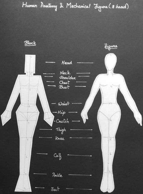 8 head croquis 8 Head Croquis Fashion Figures, 8 Head Theory Illustration, Head Theory Illustration, 8 Head Croquis, Head Croquis, Drawing Fashion Figures, Theory Fashion, Figure Drawing Tutorial, Croquis Fashion