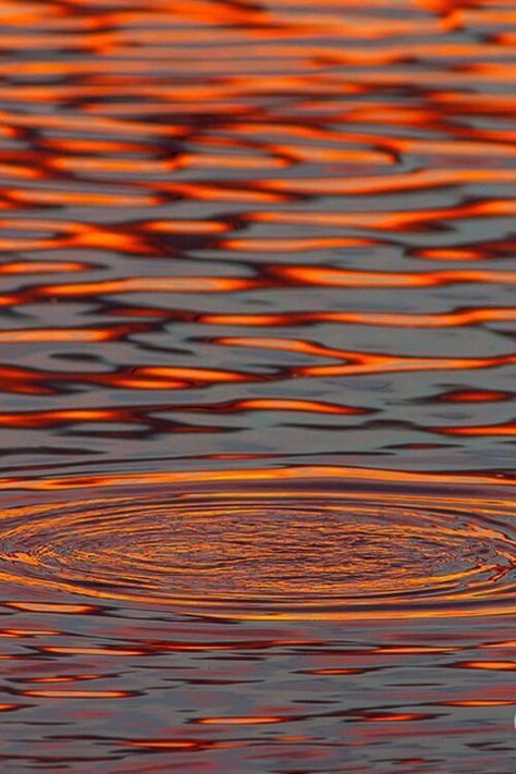 Sunset on ripples in pond Sun Paintings, Water Inspiration, Water Patterns, Water Ripples, Orange Aesthetic, Water Reflections, Water Art, Orange Grey, Natural Forms