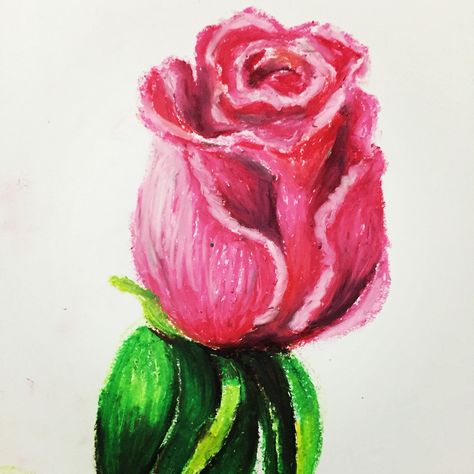 Pink Rose in oil pastels Rose Oil Pastel, Oil Pastel Art For Beginners, Art For Beginners, Art Theory, Oil Pastel Art, Rose Drawing, Oil Pastels, Rose Oil, Botanical Drawings