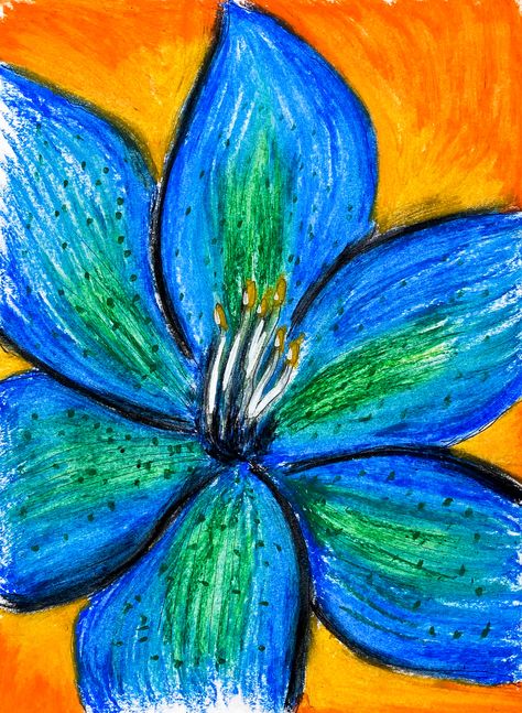 Drawing in the style of Georgia O'Keeffe Georgia O'keeffe Flowers, George O'keefe Art, Georgia O'keefe Flowers, Georgia Okeefe Art, Georgia O’keeffe, Georgia O Keefe, Georgia Okeefe Flower Paintings, Georgia Okeefe Art For Kids, Georgia Okeefe Gcse Sketchbook