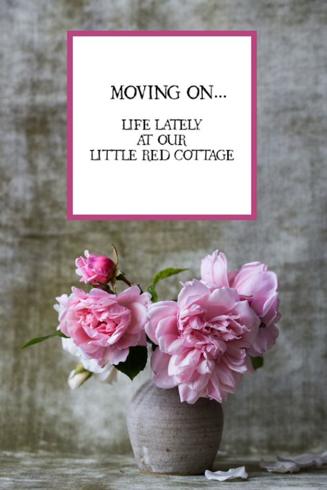 Moving On…A New Chapter at our Little Red Cottage Afro Hair Care, Red Cottage, Name Meaning, Toner For Face, Gardening For Beginners, Facial Oil, Stella And Dot, Girl Names