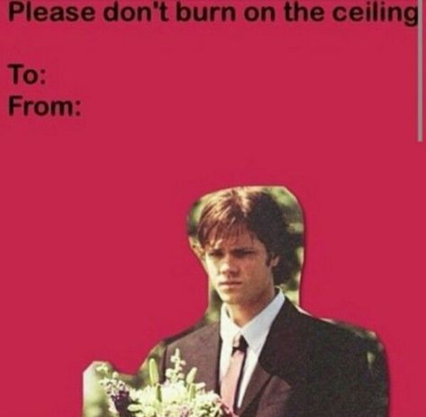 Cursed Supernatural Images, Supernatural Valentines, Supernatural Facts, Spn Memes, Supernatural Pictures, Winchester Boys, Supernatural Memes, Fandom Memes, Supernatural Funny