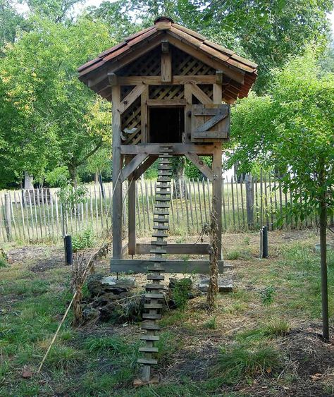 Unusual Chicken Coop, Unique Chicken Coop Ideas, Gothic Chicken Coop, Unique Chicken Coop, Forest Witchcraft, Chicken Coop Building Plans, Chicken Coop Ideas, Chicken Cottage, Coop Decor