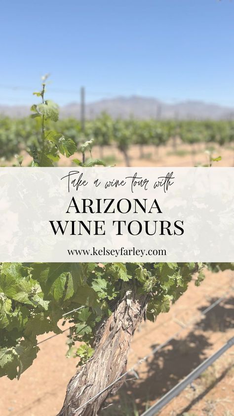 One of the best ways to experience Arizona wine country is by taking an all-inclusive wine tour with Arizona Winery Tours. Not only will you try some of the best wines Arizona has to offer, but they also offer round-trip transportation. #tucson Arizona Wineries, Winery Tasting Room, Winery Tours, Wine Tour, Tucson Az, Relaxing Day, Round Trip, Napa Valley, Wine Country