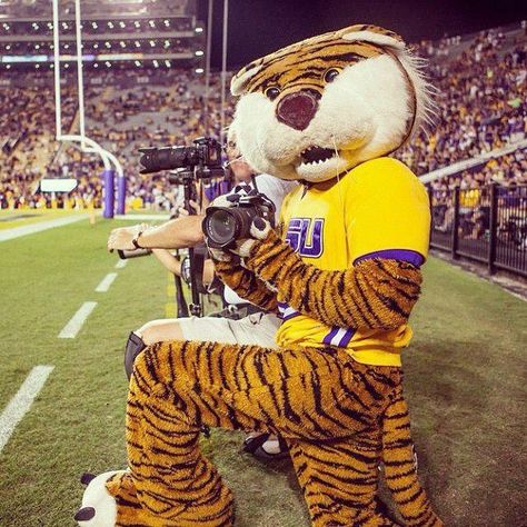 Mike Lsu Tigers Football, Geaux Tigers, Louisiana State University, Louisiana State, Lsu Tigers, The Tiger, State University, Louisiana, Tigers