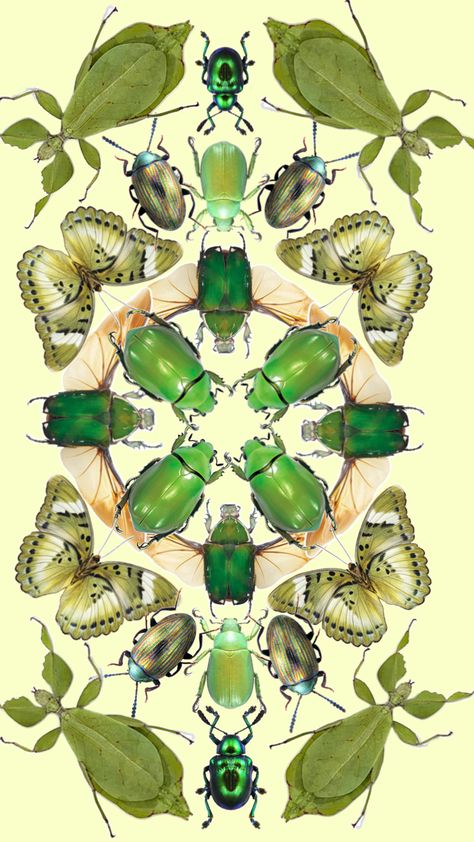 Insect Pattern, Bugs, Green, Pattern, Bugs And Insects