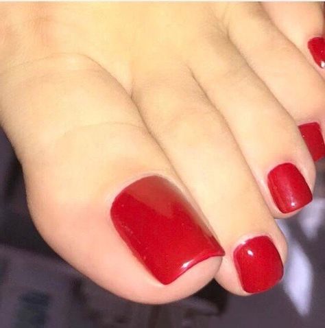 Red Nails Toes, Square Toe Nails, Dark Cherry Red Nails, Red Toe Nails, Toes Pedicure, Pedicure Design, Red Toes, Red Toenails, Pretty Toe Nails