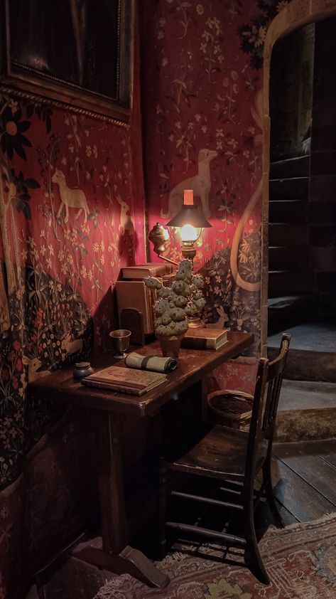 A Gryffindor common room study nook with a lamp and a mimbulus mimbletonia plant on the desk. Hogwarts Room Aesthetic, Mimbulus Mimbletonia, Hogwarts Common Rooms, Dark Academia Desk, Plant Instagram, Christmas At Hogwarts, Hogwarts Room, Interior Paint Schemes, Hogwarts Founders