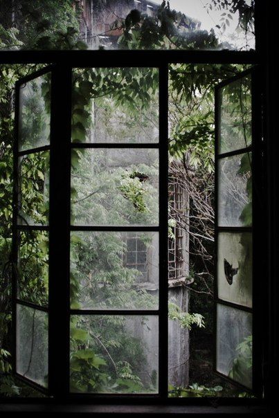 Les carnets de miss clara Mansion Homes, An Open Window, Abandoned House, Beautiful Windows, Window View, Open Window, Through The Window, Abandoned Buildings, Abandoned Houses