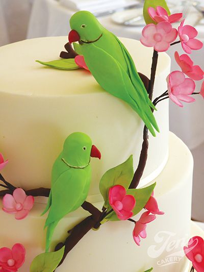 A wedding cake with parakeets, based on wild birds in London's Richmond Park adn Kew Gardens Parrot Cake Ideas, Bird Cake Ideas, Cakes With Flowers, Island Cake, Bird Birthday Parties, Birds Cake, Beautiful Wedding Cake, Bird Cake, London Cake