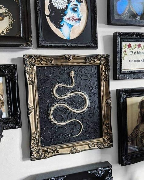 Snake Skeleton, Gothic Interior, I Don't Understand, Snake Art, Horror House, I Dont Understand, Gothic House, Frame Art, Dont Understand