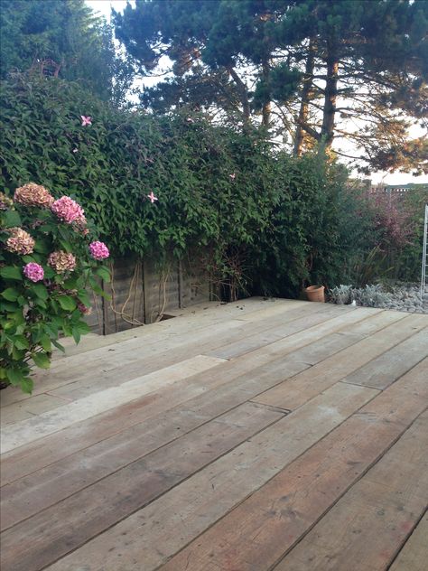 Scaffold board decking in our garden Pole Garden Ideas, Garden Floor Ideas, Backyard Sanctuary, Seaside Garden, Garden Floor, Scaffold Boards, Floor Ideas, English Country Gardens, Pallets Garden