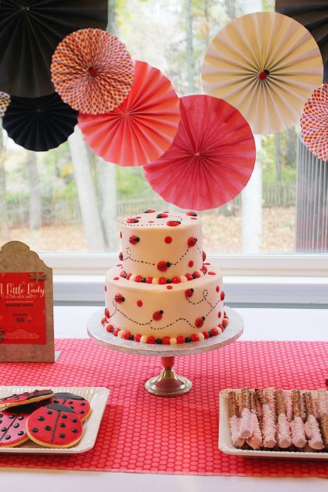 A Little Lady Baby Shower Little Lady Baby Shower Ideas, Love Bug Baby Shower Ideas, Lovebug Baby Shower Ideas, Lady Bug Baby Shower Theme Girl, Ladybug Baby Shower Ideas, Love Bug Baby Shower, Ladybug Baby Shower Decorations, Pink Ladybug Party, Ladybug Baby Shower Theme