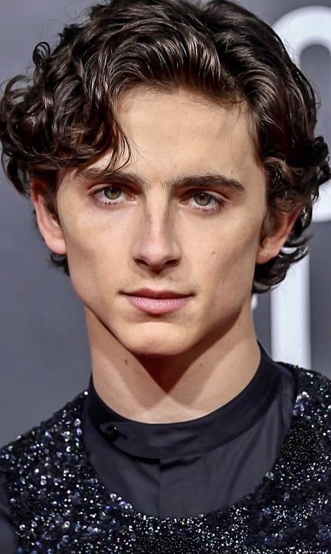 Timothee Chalamet Boyfriend, Timothee Chalamet Boyfriend Material, Chalamet Timothee, Mens Hair Colour, Timmy T, Medium Curly Hair Styles, Corte De Cabelo Masculino, Face Photography, Celebrity Portraits