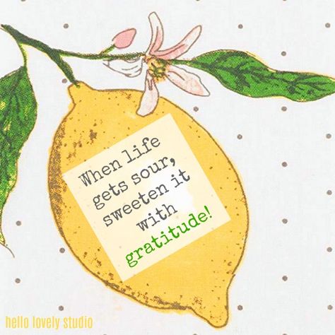 Inspirational quote about lemons on Hello Lovely Studio: When life gets sour, sweeten it with gratitude. Lemons Quotes Happiness, Lemon Quotes, Lettered Quotes, Making Limoncello, Ladies Event, Italian Liqueur, Travel Clipart, Frozen Lemon, Message Of Encouragement