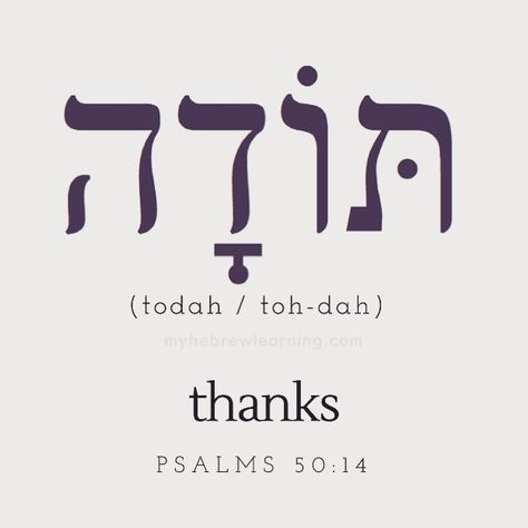 The Hebrew word for thanks is “Todah.” It comes from the root (י-ד-ה), from which we get the verb (להודות), meaning to “acknowledge,” “to… Words In Hebrew, Ancient Hebrew Alphabet, Hebrew Language Learning, Hebrew Language Words, Hebrew Tattoo, Hebrew Vocabulary, Hebrew Writing, Learning Hebrew, Hebrew Lessons