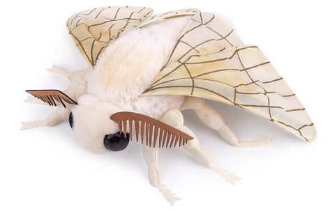 Moth Plush, Silkworm Moth, Silk Moth, Cute Moth, Realistic Stuffed Animals, Kids Gift Guide, Childrens Gifts, Gift Decorations, Gift Collections