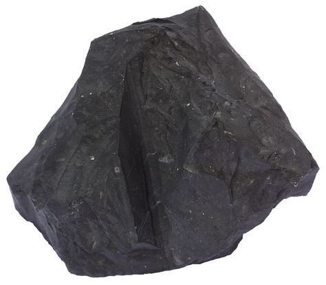 Oil bearing rock - shale Rock Tumbler Diy, Collecting Rocks, Oneida Flatware, Igneous Rocks, Rock Identification, Rocks And Fossils, Community Centre, Geology Rocks, Rock Types