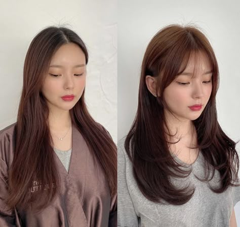 Medium Hair Hairstyles, Korean Long Hair, Korean Hairstyles, Korean Hair Color, Hair Inspiration Long, Layered Haircuts For Medium Hair, Bangs With Medium Hair, Hairstyles For Layered Hair, Shot Hair Styles