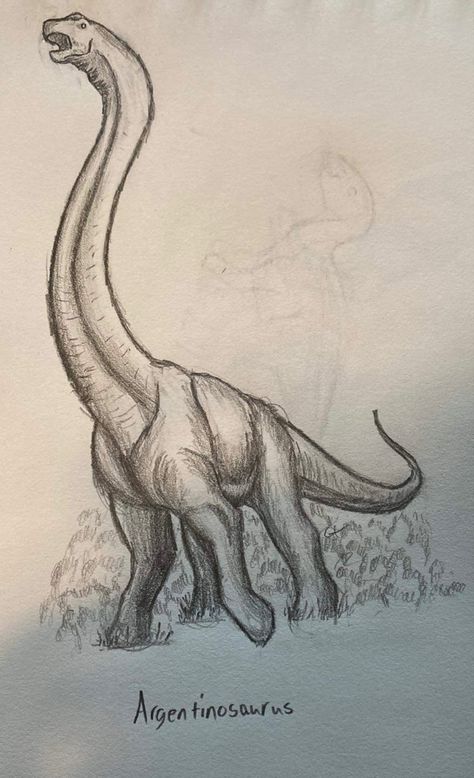 This massive herbivore made an awesome sketch. I had fun with this one Realistic Dinosaur Drawing, Dinousar Drawing, Drawing Ideas Dinosaurs, Dinosaur Sketch Realistic, Dinosaur Sketch Easy, Dinosaurus Drawing, Dinasour Drawing Simple, Brontosaurus Drawing, How To Draw A Dinosaur